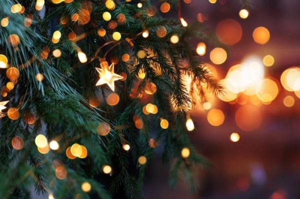 Photo for Christmas Eve Closing at 12pm