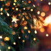 Photo for Christmas Day (Office Closed)